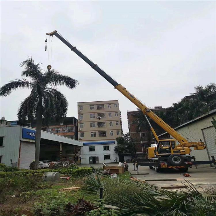 恩阳汽车吊出租多少钱？全面解析与市场行情